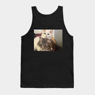 Ragdoll  kitten and fluffy tabby by suzanne beasley Tank Top